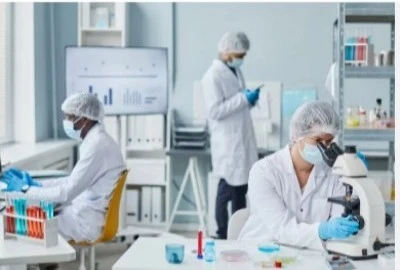 Labs Labs