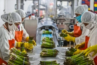 Food Processing Food Processing